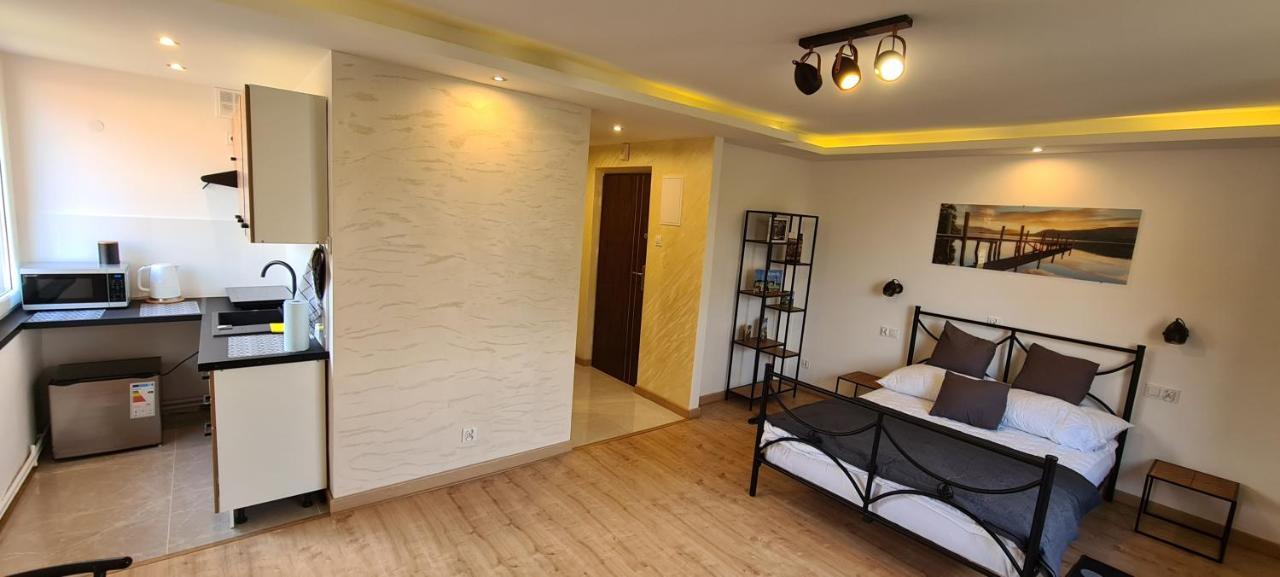 Apartament Pod Stokiem Перемишль Екстер'єр фото